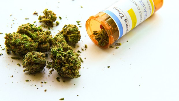 Medyczna marihuana