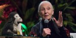 JANE GOODALL