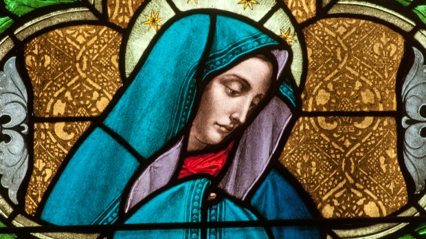 WEB-MADONNA-MARY-STAINED-GLASS-Nancy-Bauer-Shutterstock_154303703