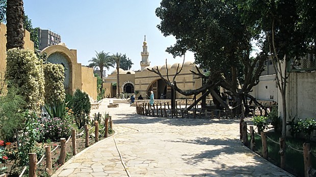 WEB3 CAIRO VIRGIN TREE PATH OF HOLY FAMILY FLIGHT INTO EGYPT Roland Unger Wikimedia Commons