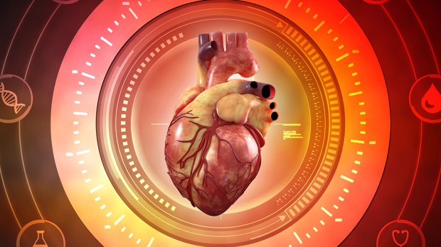Grafika komputerowa ludzkiego serca