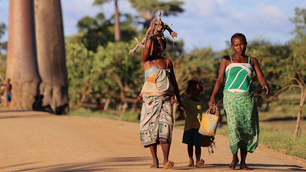 RODZINA NA MADAGASKARZE