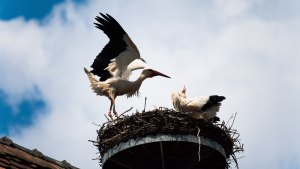 jeremy-wermeille-696725-unsplash