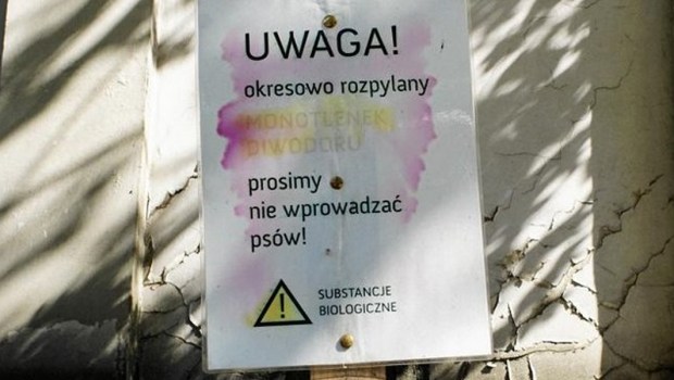 TABLICZKA U DOMINIKANÓW