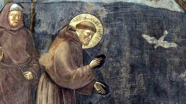 web3-peace-dove-saint-francis-wikipedia-.jpg