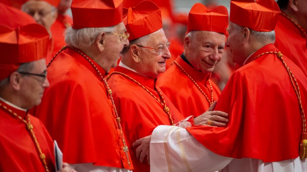 ncam100519-pope-holy-mass-ordinary-public-consistory-antoine-mekary-aleteia-am_8968.jpg