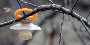 Trzydniowa dziewczynka znaleziona na cmentarzu. „Żyje cudem”