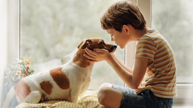 CHILD, DOG, WINDOW