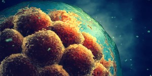 Produkują ludzkie pseudoembriony do eksperymentów. Komentarz bioetyków