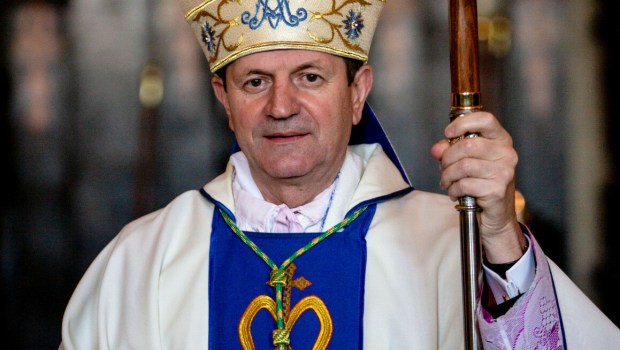 TADEUSZ WOJDA