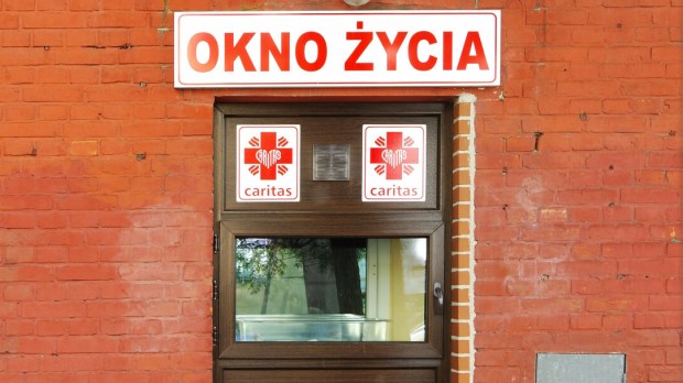 OKNO ŻYCIA