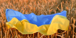 Ukraina spichlerzem świata? Czy z powodu rosyjskiej inwazji grozi nam niedobór żywności? [wyjaśniamy]
