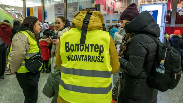 Wolontariusz