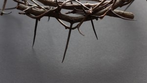 crown-thorn-shutterstock_1919040326.jpeg