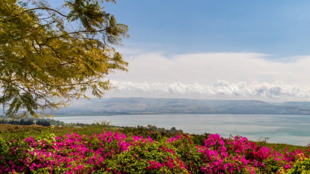 Panorama Jeziora Galilejskiego wiosną - widok z Góry Błogosławieństw