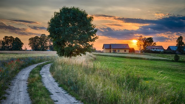 Letni krajobraz z krajową drogą i polami pszenicy. Mazury, Polska.