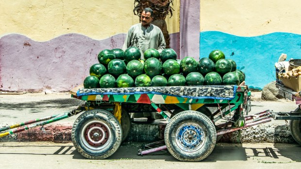 przydrożny sprzedawca arbuzów w Egipcie