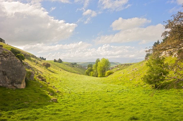 Little,Valley