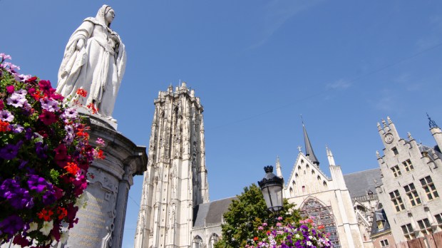 katedra w Mechelenie