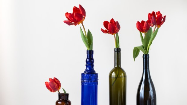 Puste butelki po winie użyte jako wazony dla kwiatów