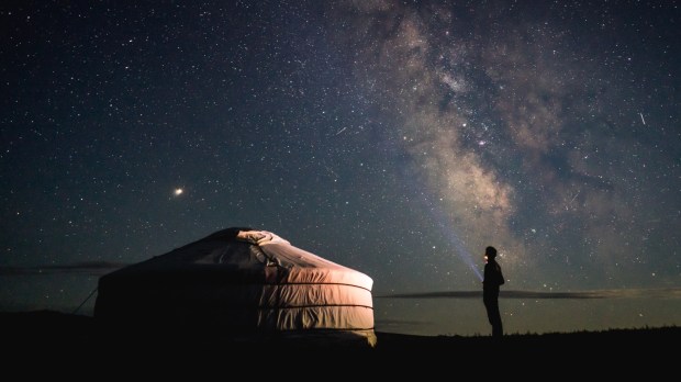 Człowiek patrzy na usiane gwiazdami nocne niebo