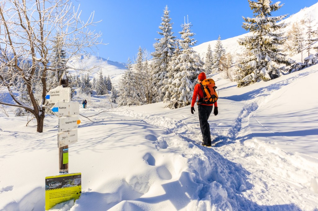 Turystka wędruje zimą tatrzańskim szlakiem