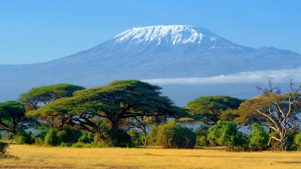 Śnieg na szczycie góry Kilimandżaro w Afryce