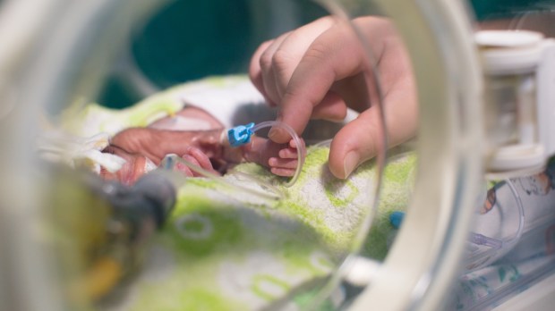 Matka trzyma małą rączkę swojego urodzonego przedwcześnie dziecka w inkubatorze