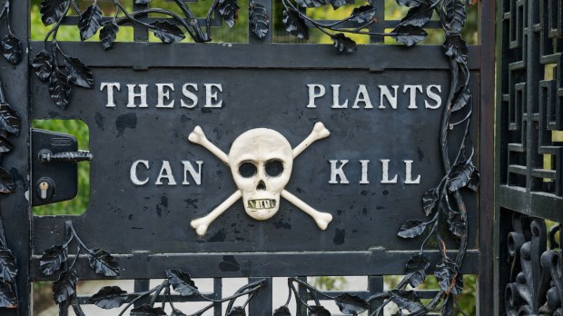 Poison Garden w Alnwick Garden