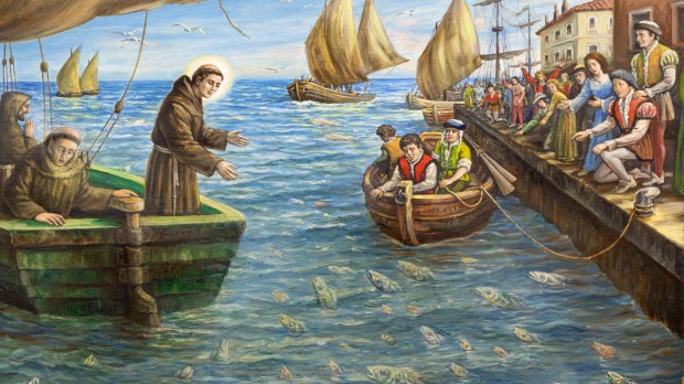 Święty Antoni głosi kazanie do ryb