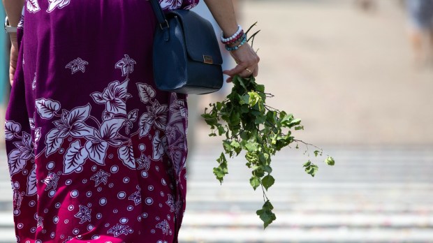 Kobieta trzyma w ręku oderwaną gałązkę brzozy w dniu Bożego Ciała
