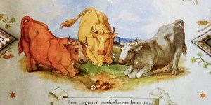 Czy w Głotowie miał miejsce cud eucharystyczny?