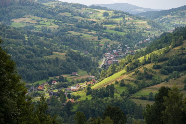 Ochotnica