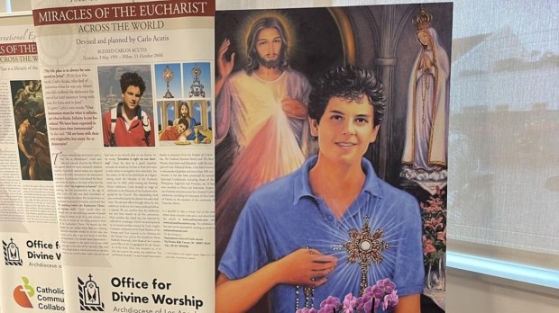 Wystawa Carla Acutisa o cudach eucharystycznych w Hollywood