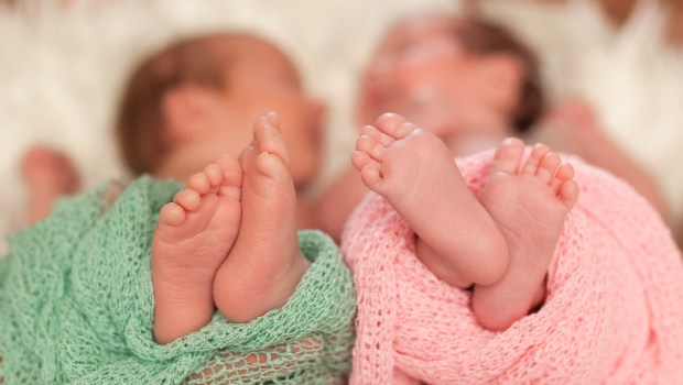 twins-babies-siblings-