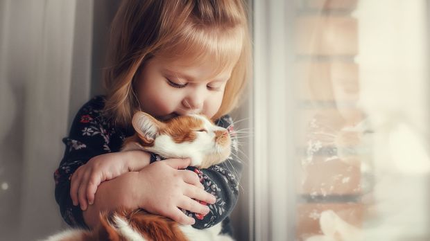 Adopcja psa