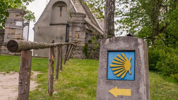 Camino w Tarnowie